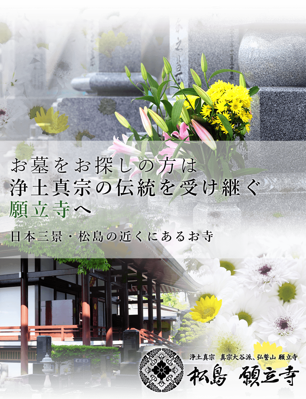 お墓をお探しの方は浄土真宗の伝統を受け継ぐ願立寺へ日本三景・松島の近くにあるお寺