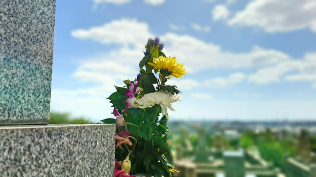 墓に供えられた花