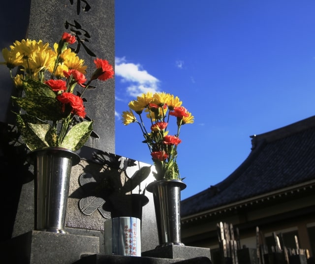 寺院墓地に備えられた花